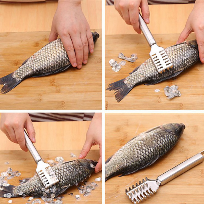 Stainless Steel Fish Scale Remover Cleaner Scaler Descaler